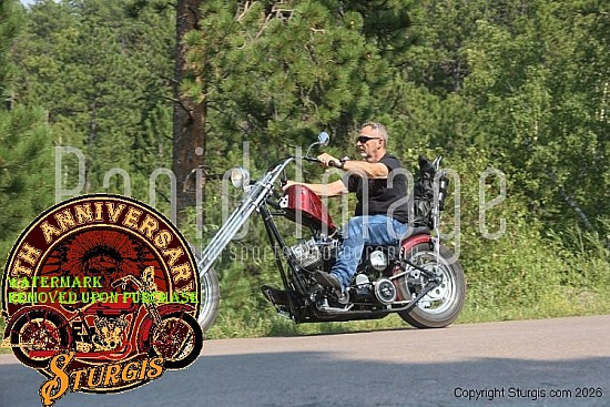 Needles Highway 2026, Demian